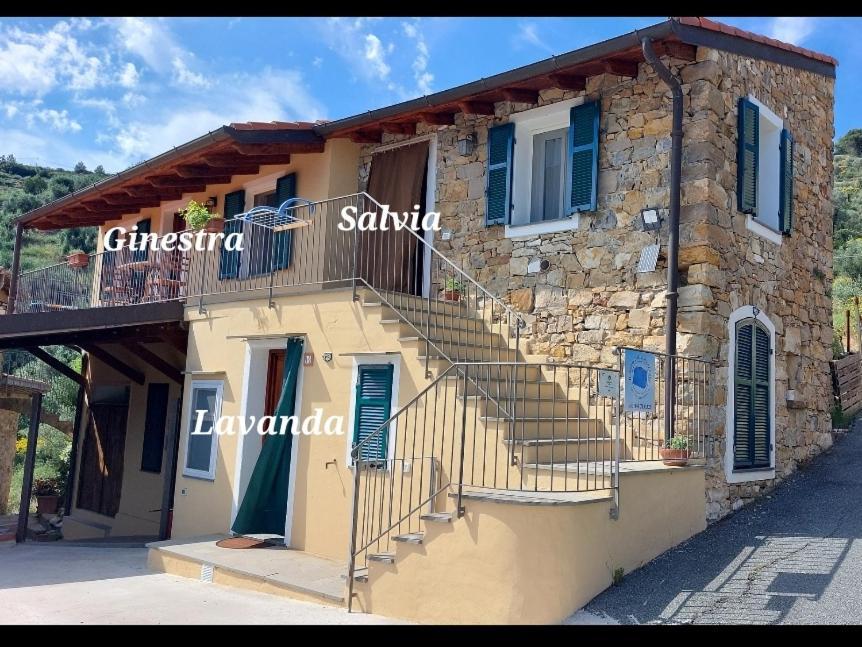 Il Nido Del Viaggiatore Vallebona Kültér fotó
