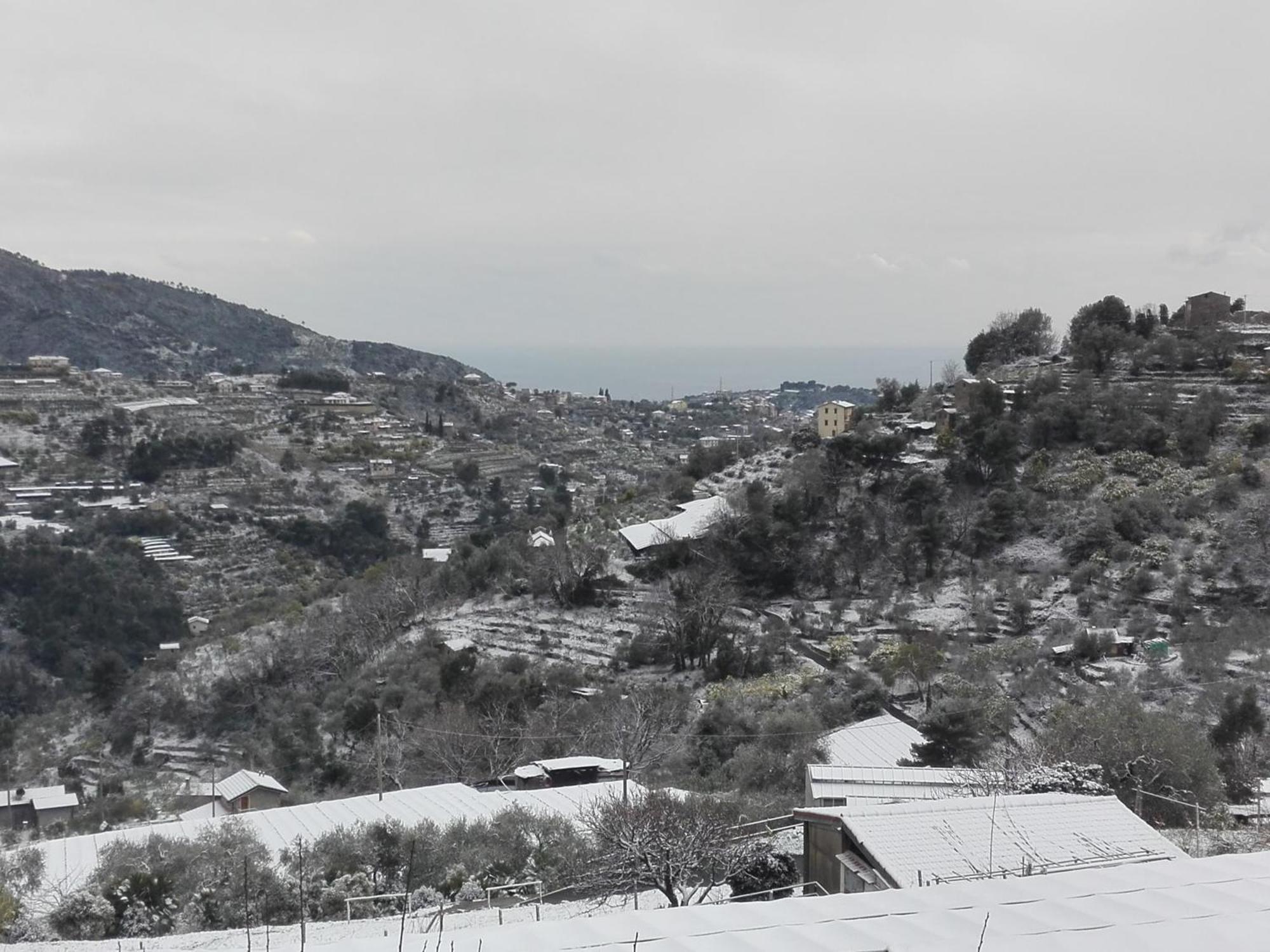 Il Nido Del Viaggiatore Vallebona Kültér fotó